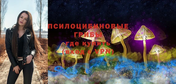 MDMA Медвежьегорск