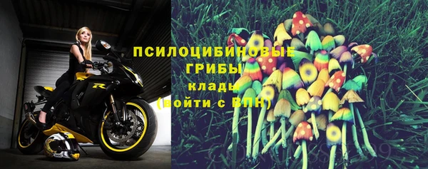 МДПВ Медногорск