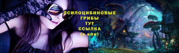 МДМА Няндома