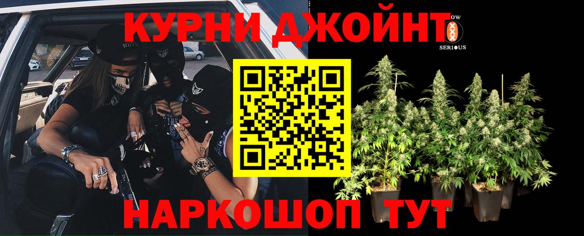 МАРИХУАНА конопля Нижнеудинск